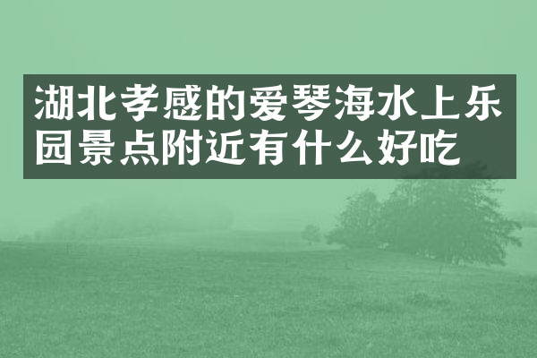 湖北孝感的爱琴海水上乐园景点附近有什么好吃的