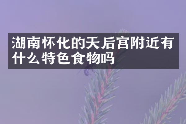 湖南怀化的天后宫附近有什么特色食物吗