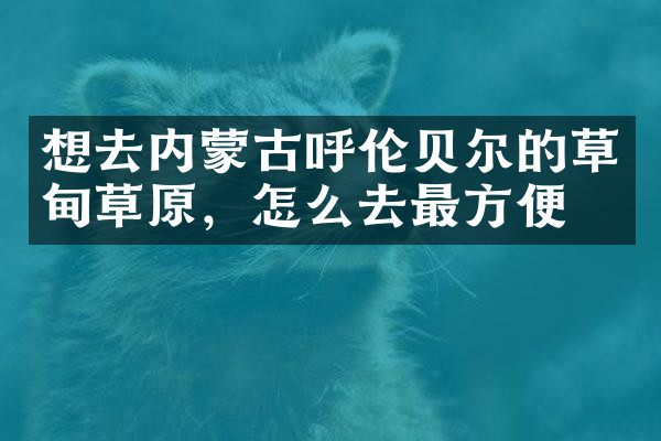 想去内蒙古呼伦贝尔的草甸草原，怎么去最方便
