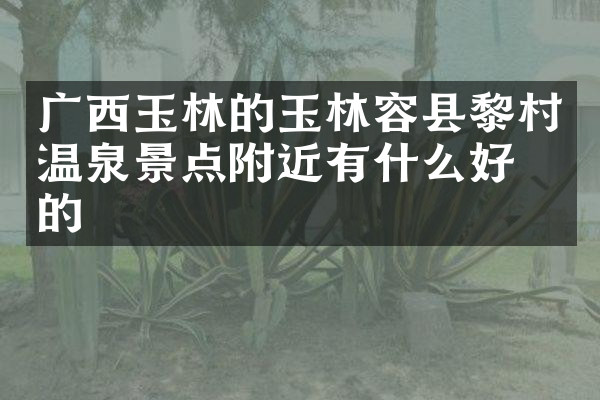 广西玉林的玉林容县黎村温泉景点附近有什么好吃的
