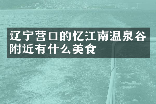 辽宁营口的忆江南温泉谷附近有什么美食