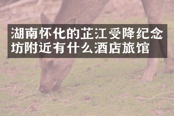湖南怀化的芷江受降纪念坊附近有什么酒店旅馆吗