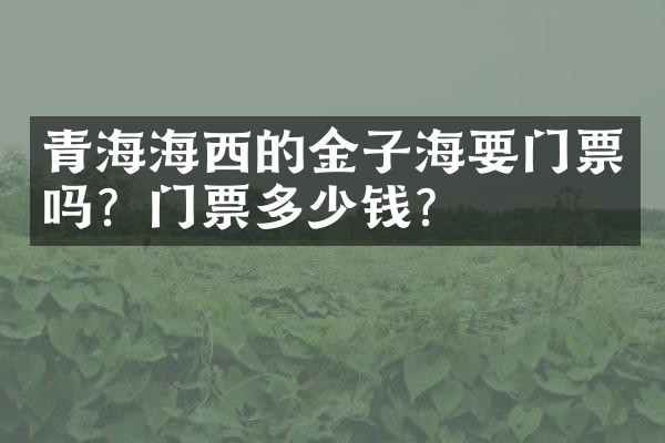 青海海西的金子海要门票吗？门票多少钱？