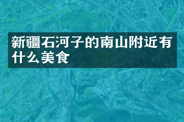 新疆石河子的南山附近有什么美食