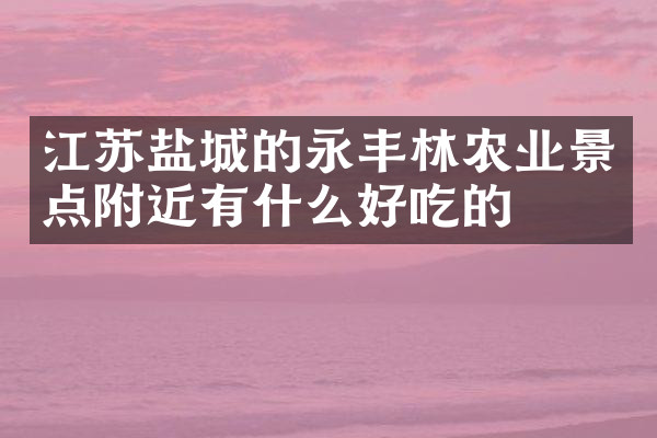 江苏盐城的永丰林农业景点附近有什么好吃的