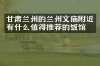 甘肃兰州的兰州文庙附近有什么值得推荐的饭馆吗