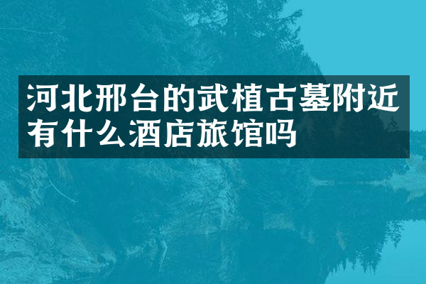 河北邢台的武植古墓附近有什么酒店旅馆吗