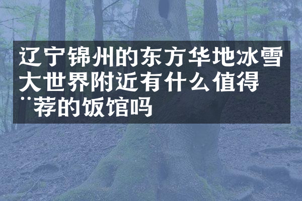 辽宁锦州的东方华地冰雪大世界附近有什么值得推荐的饭馆吗