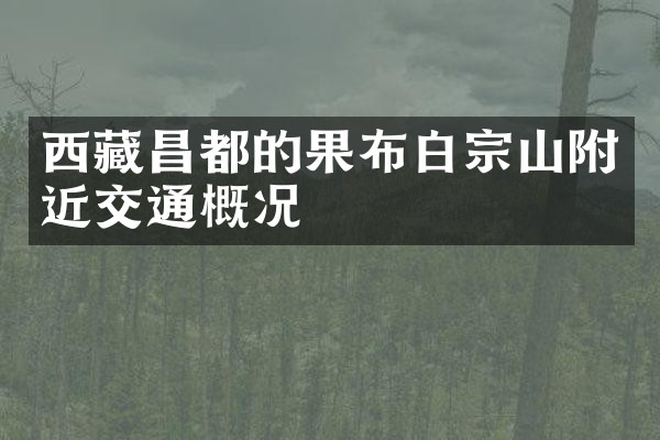 西藏昌都的果布白宗山附近交通概况