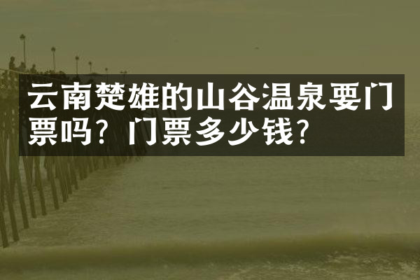 云南楚雄的山谷温泉要门票吗？门票多少钱？