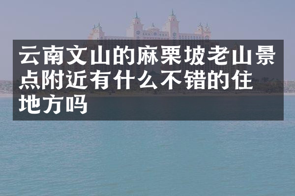 云南文山的麻栗坡老山景点附近有什么不错的住的地方吗