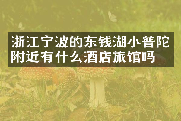 浙江宁波的东钱湖小普陀附近有什么酒店旅馆吗