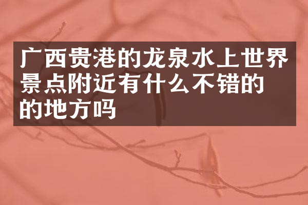 广西贵港的龙泉水上世界景点附近有什么不错的住的地方吗