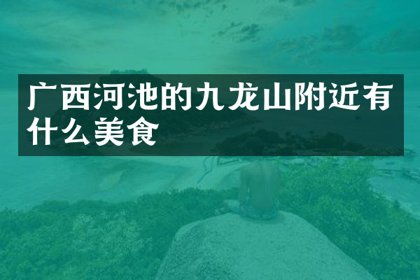 广西河池的九龙山附近有什么美食