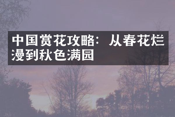 中国赏花攻略：从春花烂漫到秋色满园