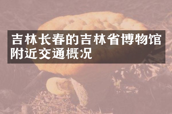 吉林长春的吉林省博物馆附近交通概况