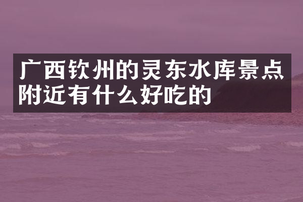 广西钦州的灵东水库景点附近有什么好吃的