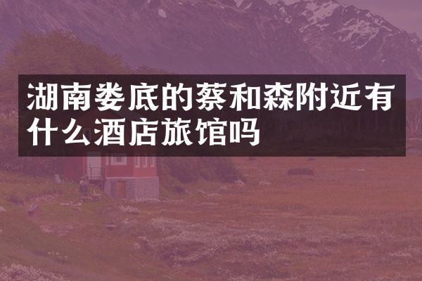 湖南娄底的蔡和森附近有什么酒店旅馆吗