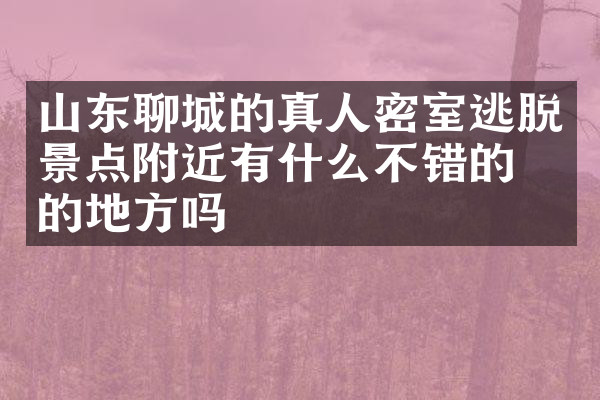 山东聊城的真人密室逃脱景点附近有什么不错的住的地方吗