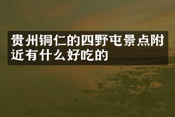 贵州铜仁的四野屯景点附近有什么好吃的
