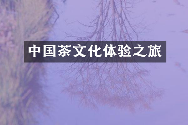 中国茶文化体验之旅