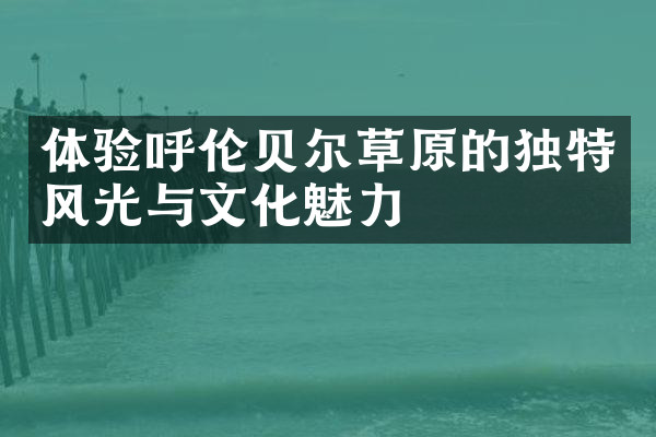 体验呼伦贝尔草原的独特风光与文化魅力
