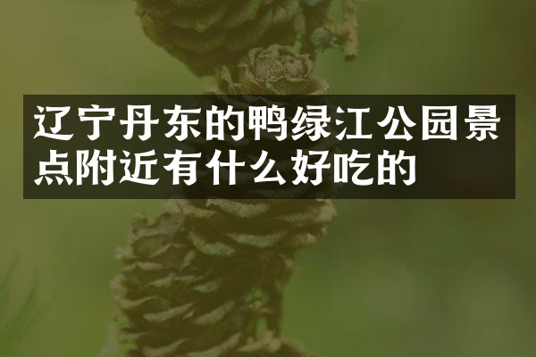 辽宁丹东的鸭绿江公园景点附近有什么好吃的