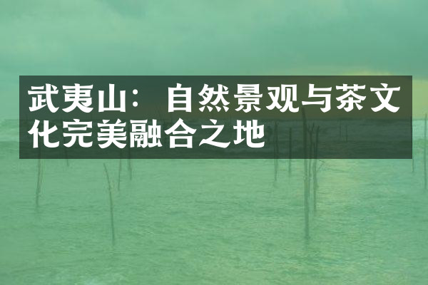 武夷山：自然景观与茶文化完美融合之地