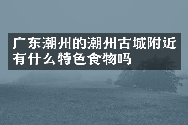 广东潮州的潮州古城附近有什么特色食物吗
