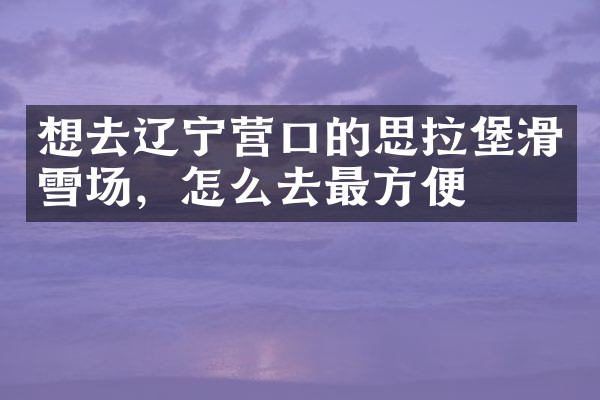 想去辽宁营口的思拉堡滑雪场，怎么去最方便