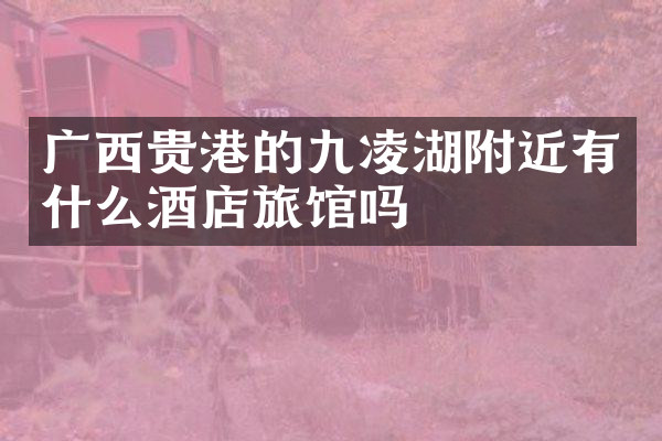 广西贵港的九凌湖附近有什么酒店旅馆吗