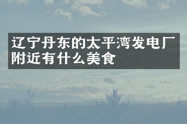 辽宁丹东的太平湾发电厂附近有什么美食