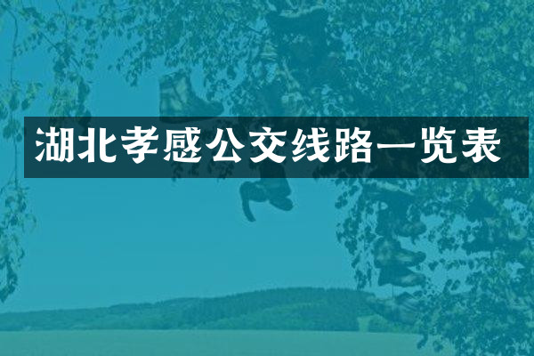 湖北孝感公交线路一览表