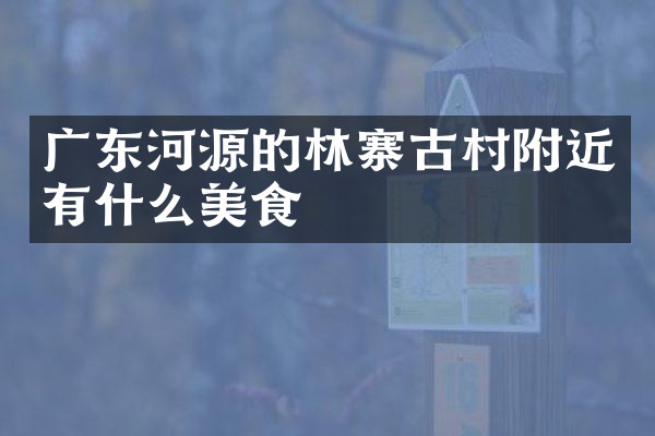 广东河源的林寨古村附近有什么美食