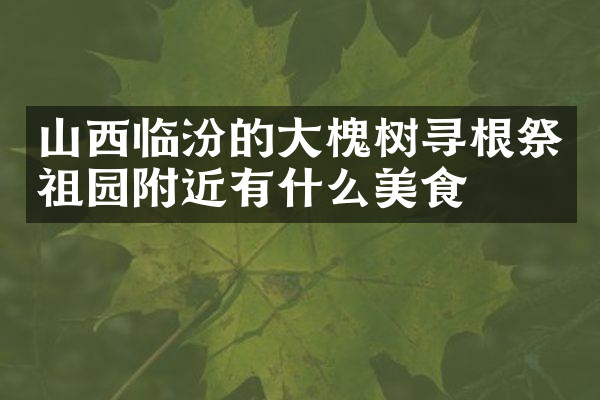 山西临汾的大槐树寻根祭祖园附近有什么美食