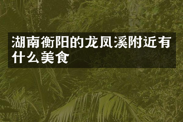 湖南衡阳的龙凤溪附近有什么美食