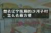 想去辽宁抚顺的沙河子村，怎么去最方便