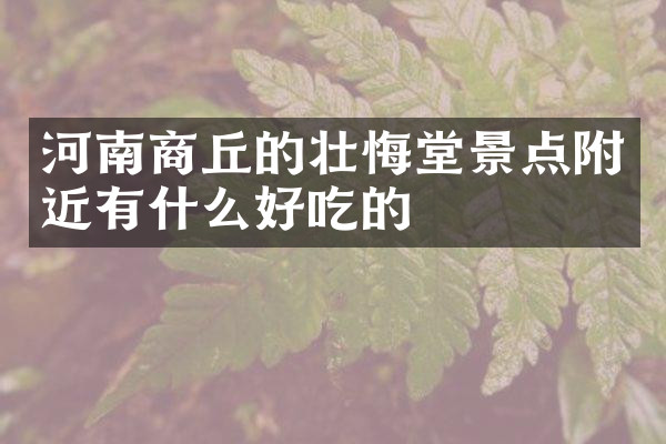 河南商丘的壮悔堂景点附近有什么好吃的