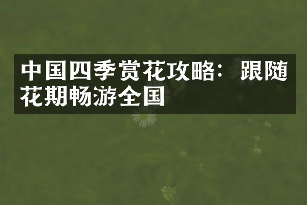 中国四季赏花攻略：跟随花期畅游全国
