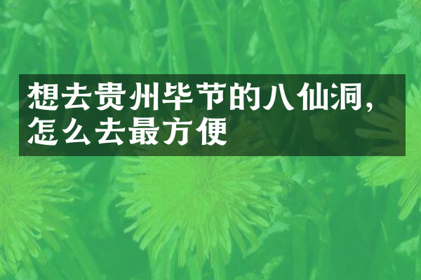 想去贵州毕节的八仙洞，怎么去最方便