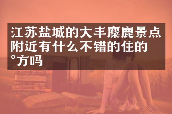 江苏盐城的大丰麋鹿景点附近有什么不错的住的地方吗