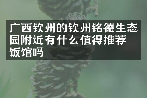 广西钦州的钦州铭德生态园附近有什么值得推荐的饭馆吗
