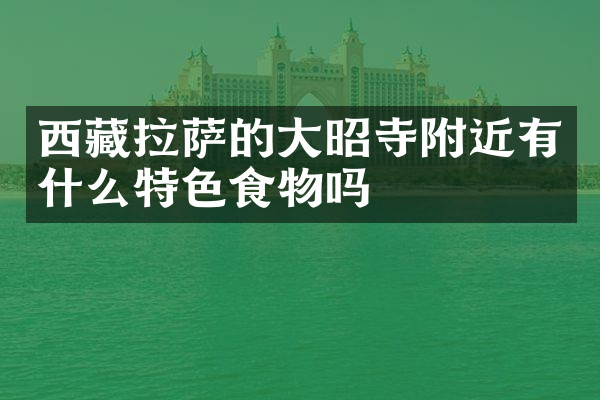 西藏拉萨的大昭寺附近有什么特色食物吗