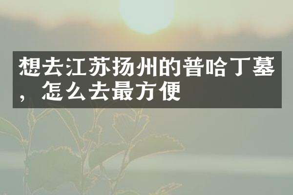 想去江苏扬州的普哈丁墓，怎么去最方便