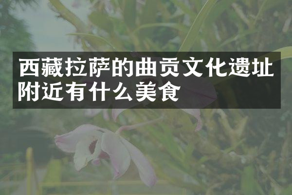 西藏拉萨的曲贡文化遗址附近有什么美食