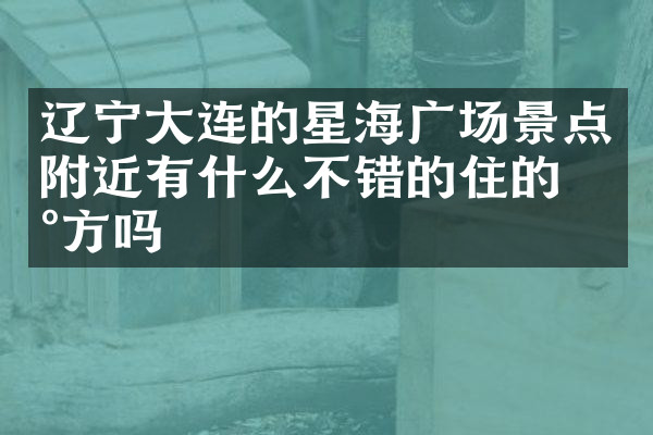辽宁大连的星海广场景点附近有什么不错的住的地方吗