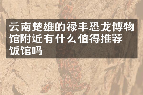 云南楚雄的禄丰恐龙博物馆附近有什么值得推荐的饭馆吗
