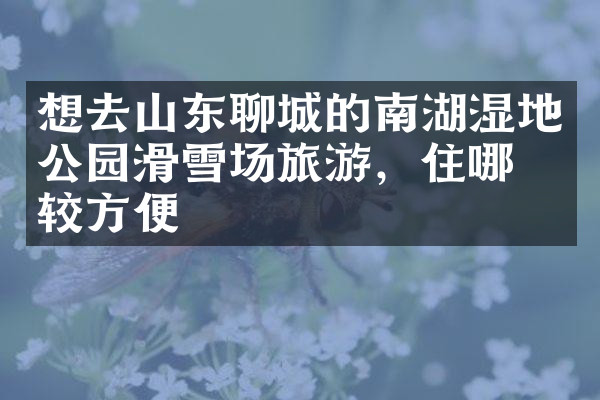 想去山东聊城的南湖湿地公园滑雪场旅游，住哪比较方便