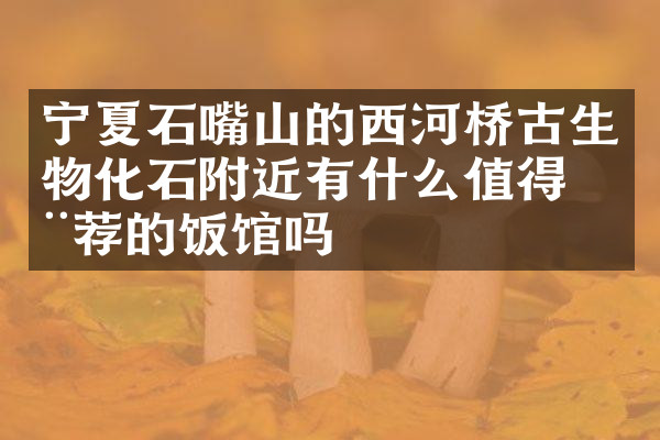 宁夏石嘴山的西河桥古生物化石附近有什么值得推荐的饭馆吗
