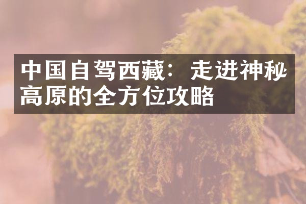 中国自驾西藏：走进神秘高原的全方位攻略